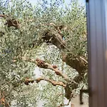Апартаменты Susan's House - Giardino Мальчезине