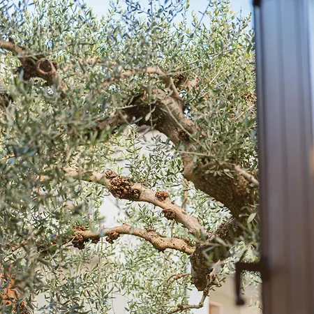 Appartamento Susan’s House - Giardino Malcesine